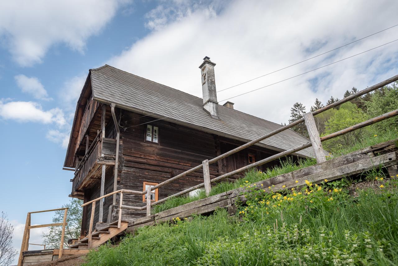 Villa Urlaub Auf Der Alm "Deluxe" Preggraben Exterior foto