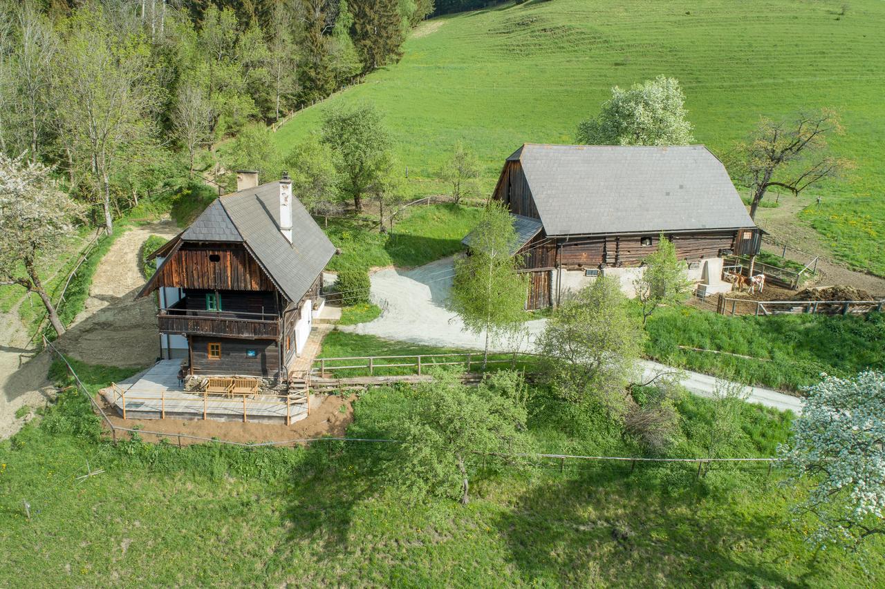 Villa Urlaub Auf Der Alm "Deluxe" Preggraben Exterior foto