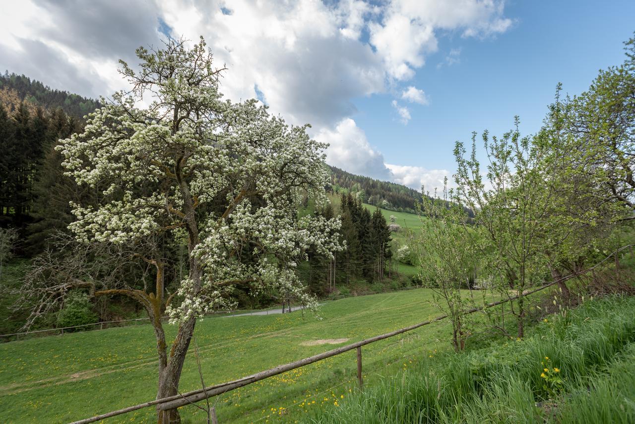 Villa Urlaub Auf Der Alm "Deluxe" Preggraben Exterior foto