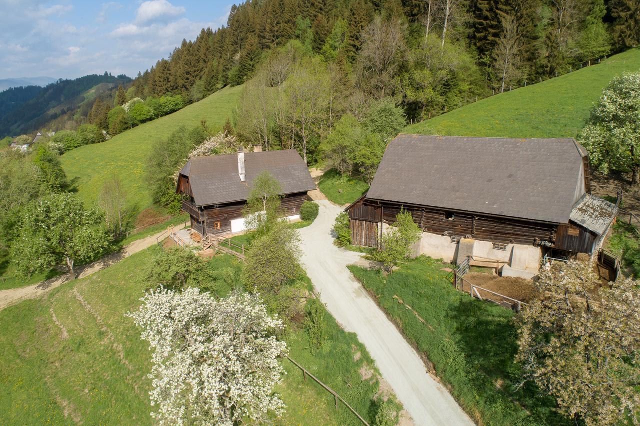 Villa Urlaub Auf Der Alm "Deluxe" Preggraben Exterior foto